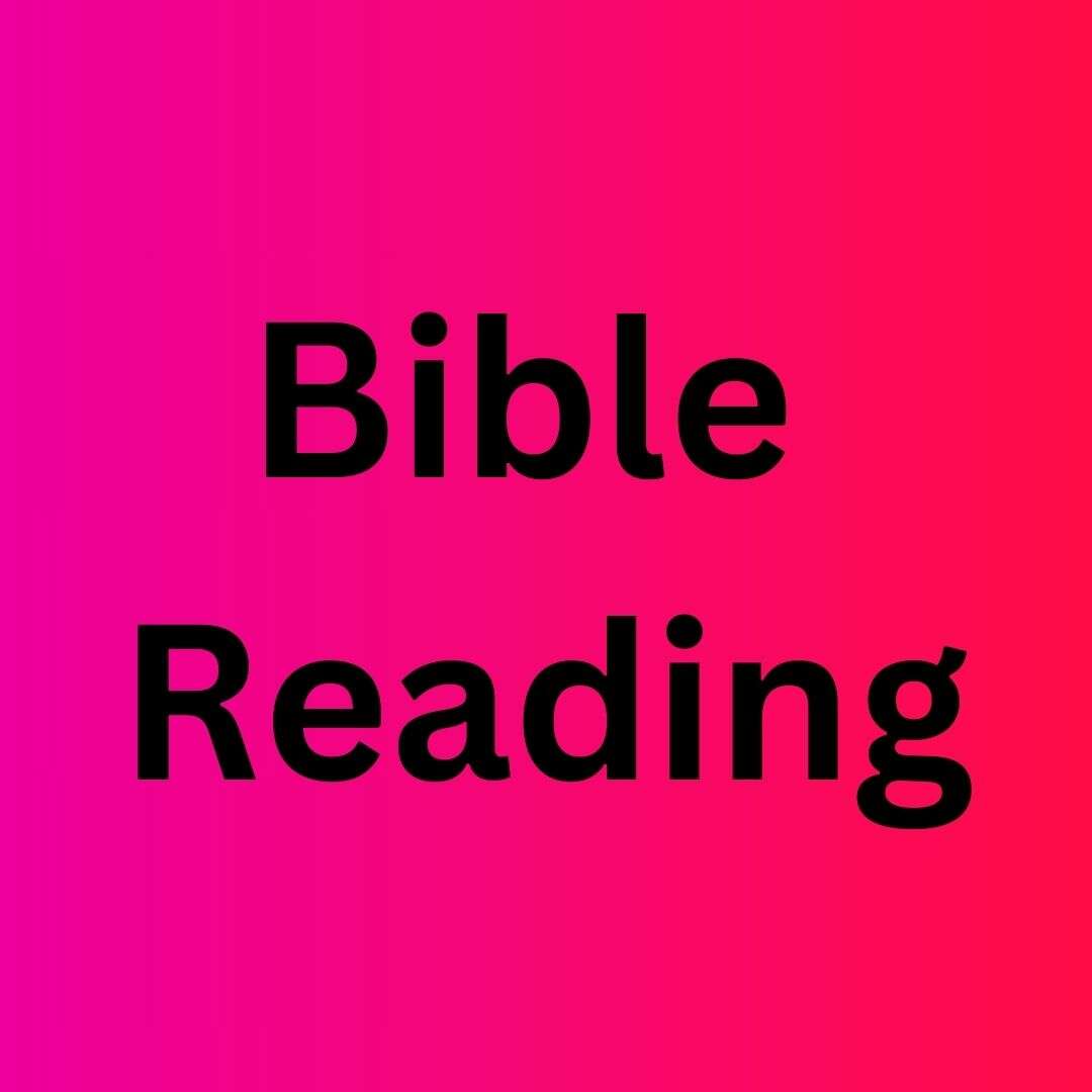 Bible Reading